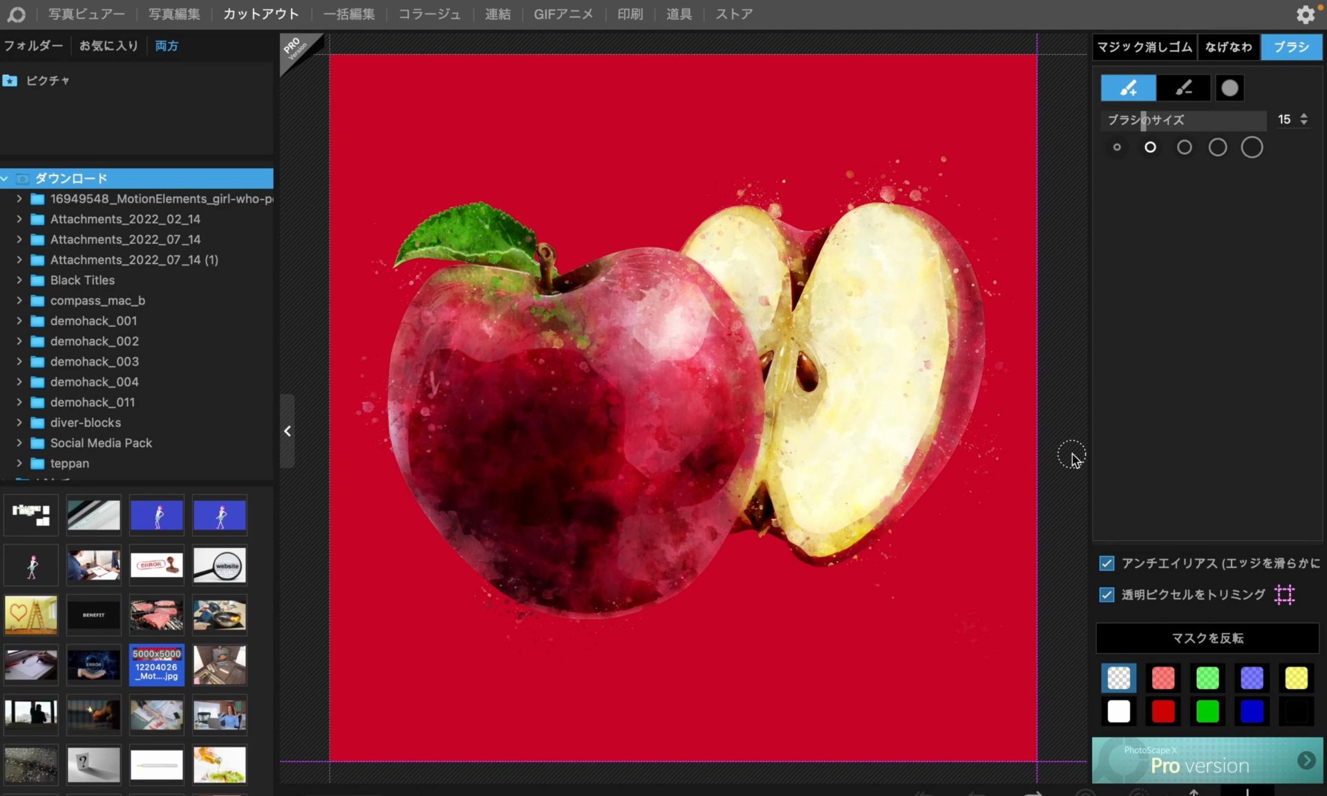 フォトスケープXでモザイクを入れる方法とは？